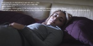 005483 copy.jpg