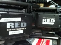 2Reds.JPG