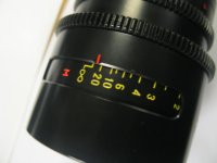 F = 18 - body scales.JPG