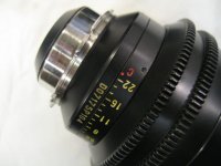 F - 75 - iris scale.jpg