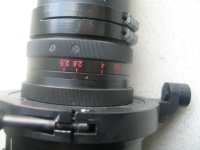 Anam F = 75 # 810062 - iris scale.JPG