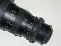 Body rear part - iris scale.jpg
