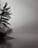 IMG_2297a.jpg