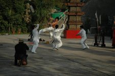 zheng_kick.jpg