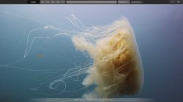 rec709-jelly.jpg