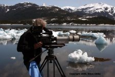 Gibby 150-600 Alaska1.jpg