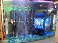 IMG_0006.jpg IMG_0006.jpg