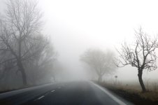 freezingfog.jpg