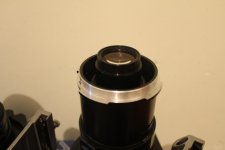 IMG_2339.jpg