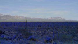 Baja.0001144.jpg