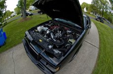 DSC_6909.jpg
