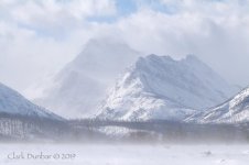 CD_031419_GNP_SM01x.jpg - Click image for larger version  Name:	CD_031419_GNP_SM01x.jpg Views:	120 Size:	44.5 KB ID:	3777793