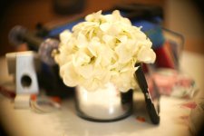 DSC08938.jpg