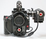 RedScarlet - 1.jpg