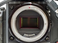 RedScarlet - 13.jpg