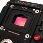 CinemaCameras.com - 6.1.22 - Photo - Selects (49 of 399) - RED DSMC2 Weapon Dragon 6K 5.jpg