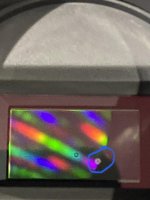 IMG_9667.jpeg IMG_9667.jpeg
