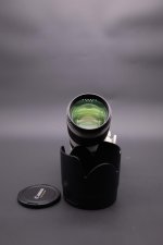 0X7A5453.JPG