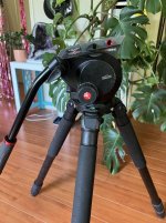 IMG_8709.jpeg