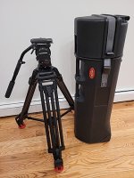 image_processing20220118-1-12wa6yb.jpg
