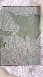 IMG_7537.jpeg