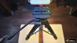 Satchler FSB8_ZTM_003.jpg