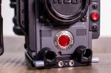 joeygraziano_red scarlet-w_009 Large.jpeg