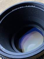IMG_4520.jpg