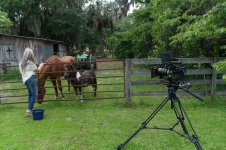 SAM_2289 (1280x853).jpg