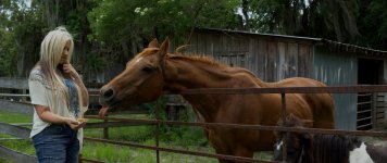horse (1280x540).jpg