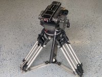IMG_8294.jpg