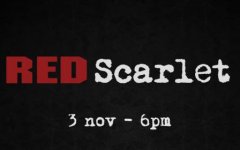 RED Scarlet 03ï€¢11ï€¢11 Version 3 (Small version 640x400).jpg