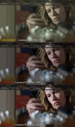 Rec709-Redgamma-test.jpg