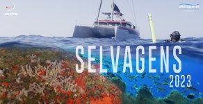 cartaz-selvagens-2023.jpg