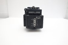 red gemini6.JPG