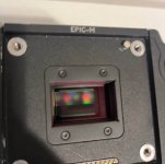 IMG_4903.jpeg