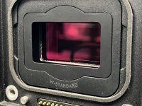 IMG_4681.jpeg