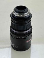 IMG_6800.jpeg