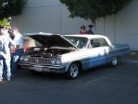impala3.jpg