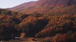 Autumn Mt 2 copy.jpg