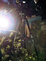 IMG00256-20100530-0456.jpg