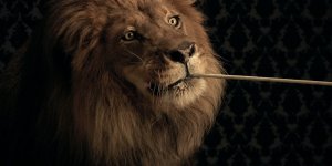 lion-o.jpg