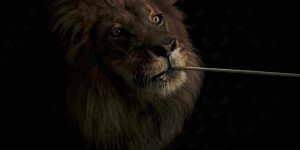 Lion REDCineX Final.jpg