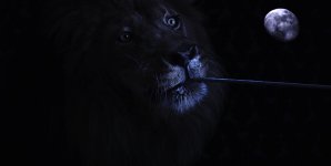 were-lion.jpg