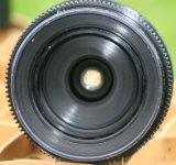 IMG_4966.JPG