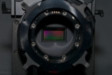RED MX PIX.jpg