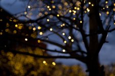 17-55_bokeh.jpg