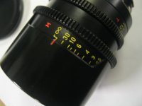 F = 35 - body scales.JPG