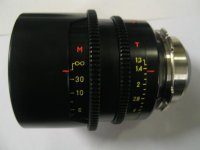 F = 50 - body scales.JPG