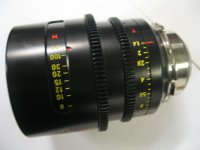 F = 100 - body scales.JPG